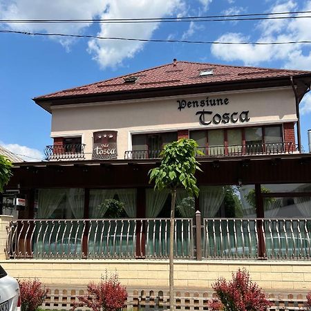 Pensiune Turistica Tosca Bákó Kültér fotó